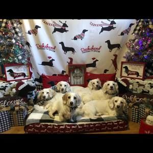 Meet your Posher, Roberta